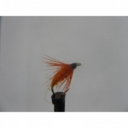 Dries carrot fly dry $2.34