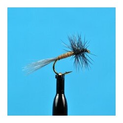 Dries Dun Variant $2.34