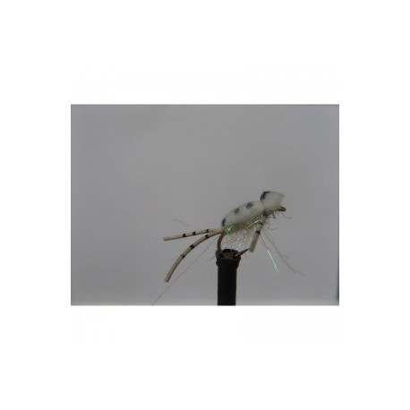 Dries white corixa foam $2.34