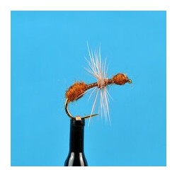 Dries Cinnamon Ant $2.34