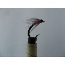 Dries annorexic orange spider $2.34