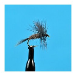 Dries Fore and Aft $2.34