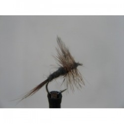 Dries adams dry $2.34