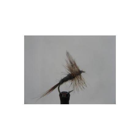 Dries adams dry $2.34