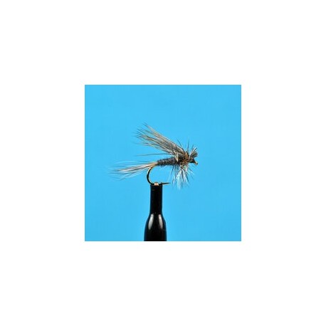 Dries Ugly Duckling Adams $2.34