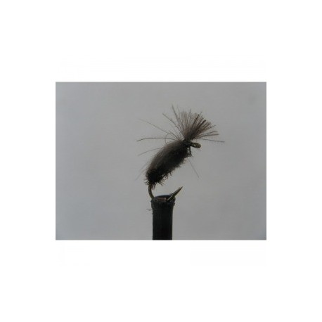 Dries beetle cdc $2.34