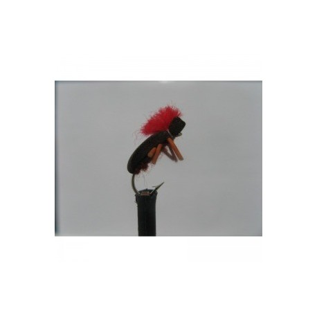 Dries brown foam beetle $2.34