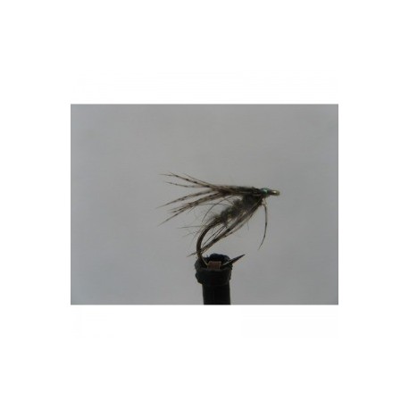 Dries arachnid spider $2.34