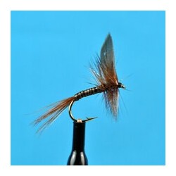 Dries Red Quill $2.34