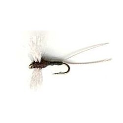 Dries trico button $2.34