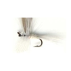 Dries white miller button $2.34