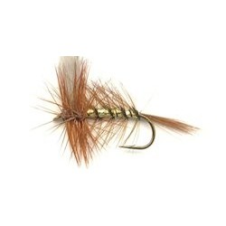 Dries wickhams fancy dry button $2.34