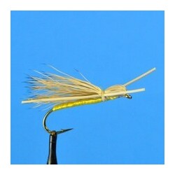 Dries Madam X  Yellow $2.34