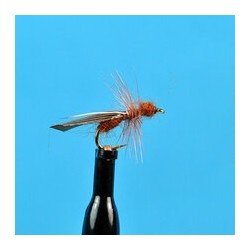 Dries Cinnamon Flying Ant $2.34