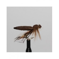 Dries orange foam daddy $2.34