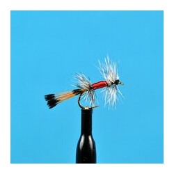 Dries Sierra Bright Dot $2.34