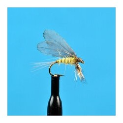 Dries Burnt Wing Pale Evening Dun $2.34