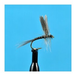 Dries Blue Quill $2.34
