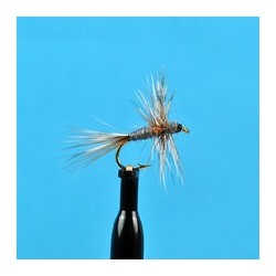 Dries Thorax Dun Adams $2.34