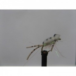 Dries white corixa foam $2.34