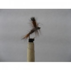 Dries wulff grey dry $2.34