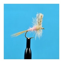 Dries Pink Cahill $2.34