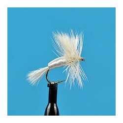 Dries Humpy White $2.34