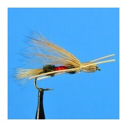 Dries Madam X  Royal $2.34