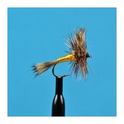 Dries Grizzley Wulff $2.34