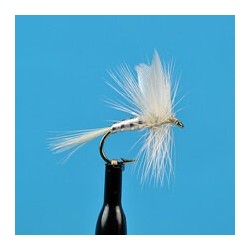 Dries White Miller $2.34