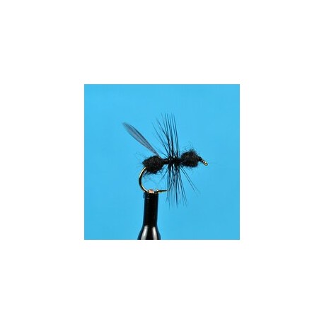 Dries Black Flying Ant $2.34