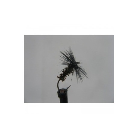 Dries black and peacock spider dry $2.34