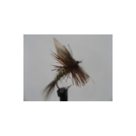 Dries march brown dry $2.34