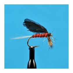 Dries Burnt Wing Slated Winged Mahogany $2.34