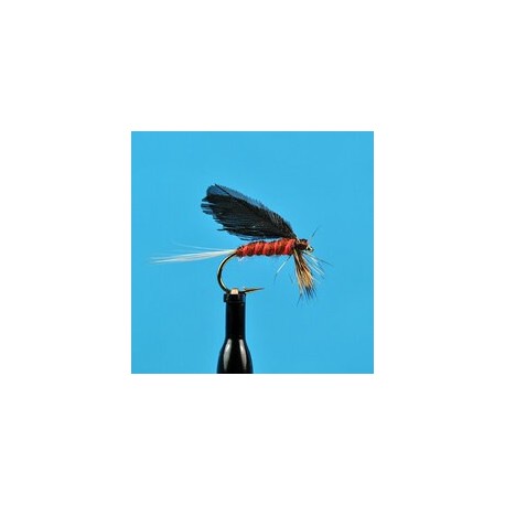 Dries Burnt Wing Slated Winged Mahogany $2.34