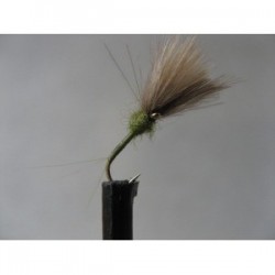 Dries ians cdc caenis olive $2.34