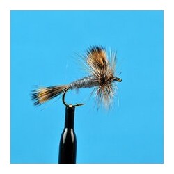 Dries Grey Wulff $2.34