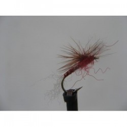 Dries big red dry $2.34