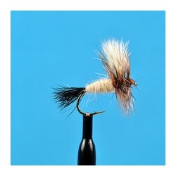 Dries Ausable Wulff $2.34