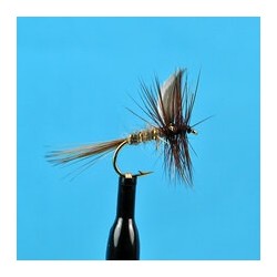 Dries Hares Ear Dry $2.34