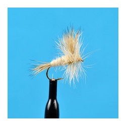 Dries Pure Blonde Wulff $2.34