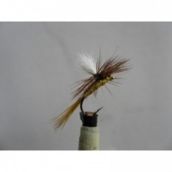 Dries Pure greenwell para dry $2.34