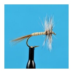 Dries Pure Grey Fox Variant $2.34