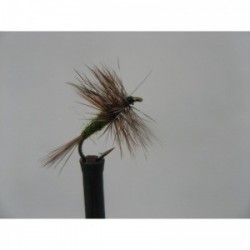 Dries Pure adams olive dry $2.34