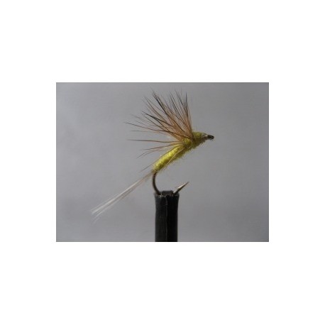 Dries Pure ians comparadun dun double decker $2.34