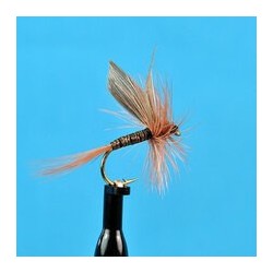 Dries Pure Ginger Quill $2.34