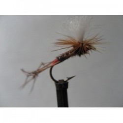 Dries Pure klinkhammer daddy $2.34