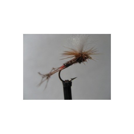 Dries Pure klinkhammer daddy $2.34