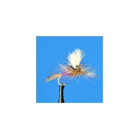 Dries Pure Parachute Purple Wulff $2.34