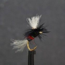 Dries Pure bibio shipmanspara dry $2.34